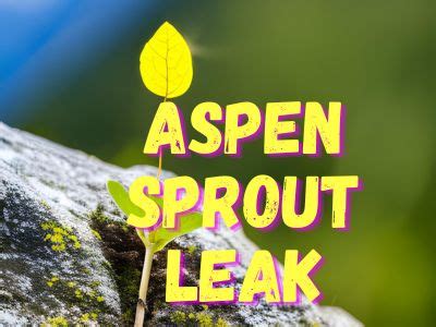 aspren sprout|Aspen Ecology